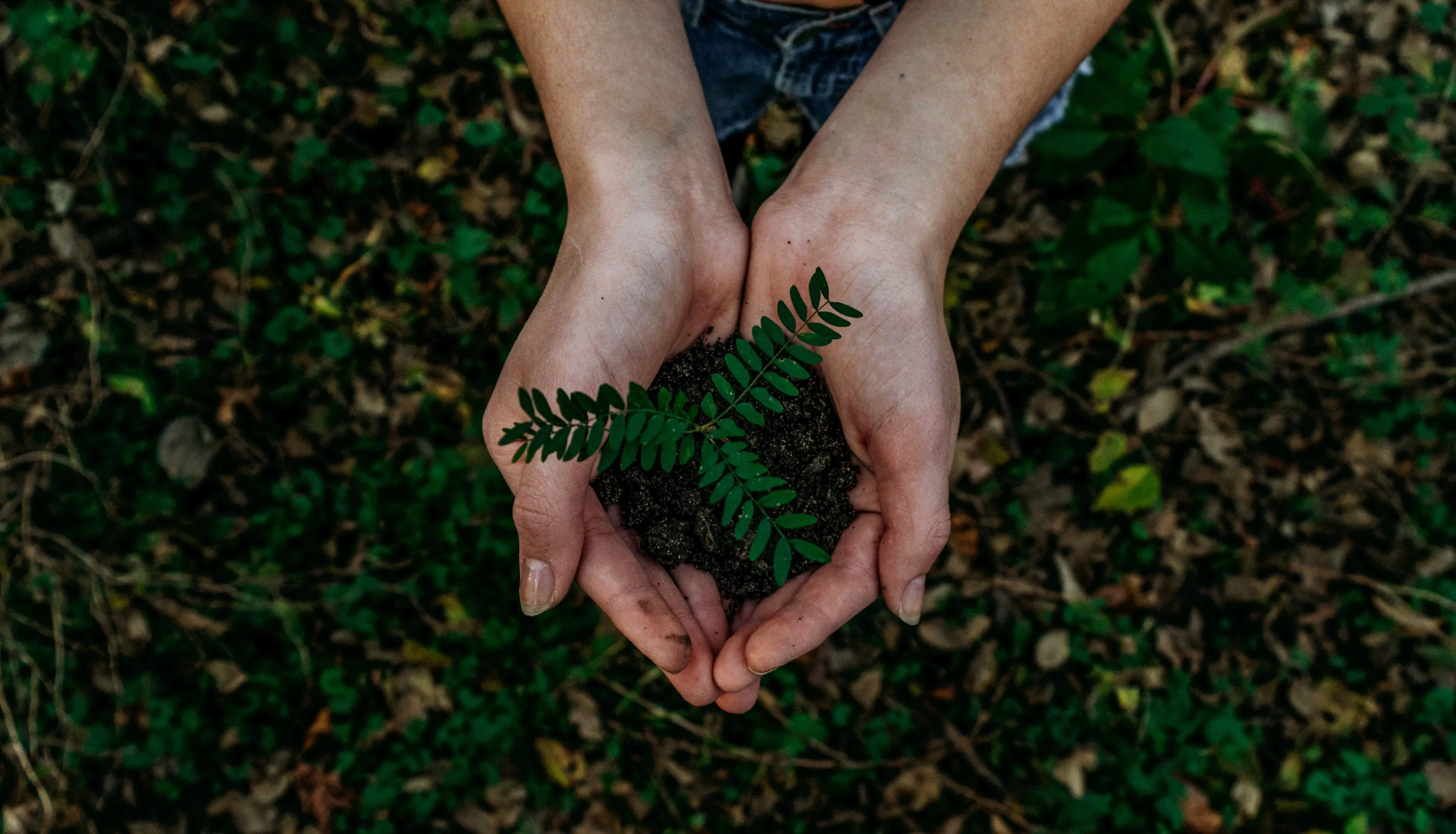 respect de l'environnement avec l'eclairage led